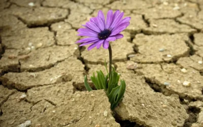 What It Means to Be Resilient